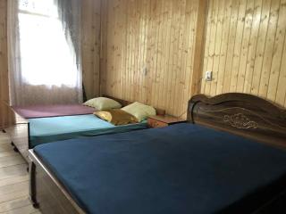 Dvaliauri - House by the Forest - 7