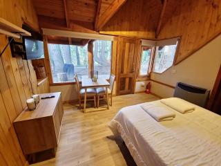 Remanso del Bosque Loft Coirón, Bahía Manzano - 1