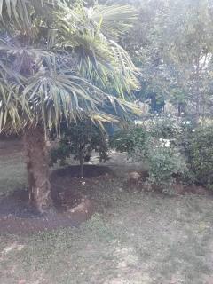 El descanso - 7