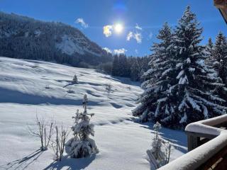 Cozy Alpine Apartment in Praz-sur - Praz-sur-Arly - 6