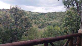 Home of Lions Private Lodge - Vasfontein - 2