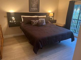 Star Wars 3 Bedroom Near Disney Gated Resort - 2