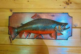 Lodge at Madawaska Ideal for Groups and hiking - Lake Saint Peter - 3