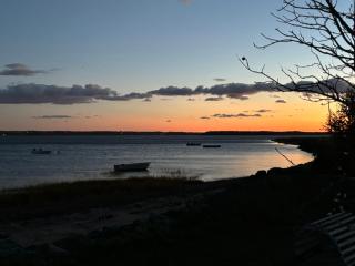 The Cozy Current - 2