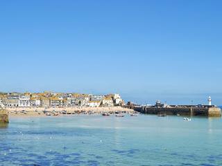 Driftwood - St Ives - 2