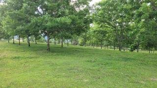 Casa de sítio repor energias lareira fogão a lenha e piscina - 1