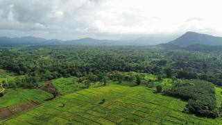 Exciting Tree house and 2 Chalets, Spring valley farm stay Buttala, Okkampitiya - 3