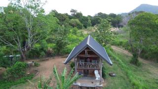 Exciting Tree house and 2 Chalets, Spring valley farm stay Buttala, Okkampitiya - - 3
