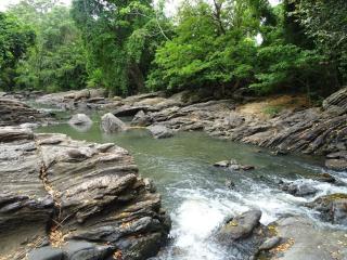 Exciting Tree house and 2 Chalets, Spring valley farm stay Buttala, Okkampitiya - 1