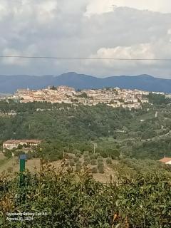 Villa Rosa - Contursi Terme - 8