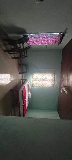Nature Nest - 4