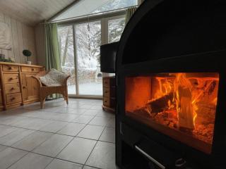 Ferienhaus mit Sauna im Ferienpark Mirow - 1