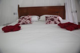 Saveen View Ella - 1