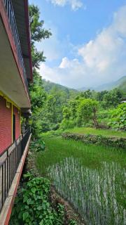 Tapovan Cascades Yogvillage Stay - 5