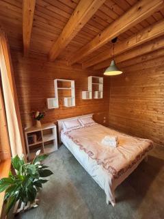 Forest & Lake House - Dumbrăviţa - 8