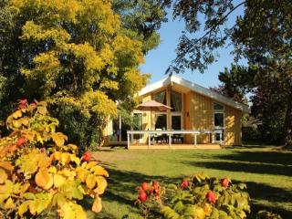 Lakeside Wellness Escape - Granzow - 0