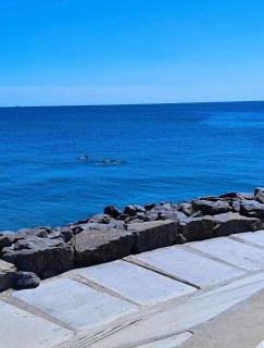 Sunny place - Odessa - 2