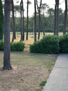 Logement entier Appartement - 1