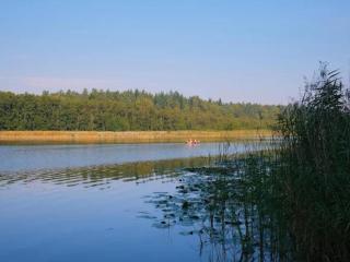 Ferienhaus am Granzower See mit Pool - Granzow - 4