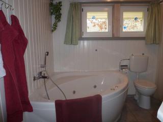 Ferienhaus mit Sauna im Ferienpark Mirow - 3