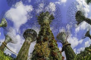 Grand Hyatt Singapore - Singapur - 9