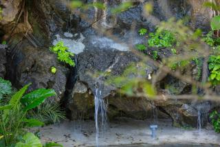 Trang An Ecorest Resort & Spa - 1