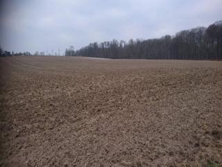 4 person holiday home in Væggerløse - 3