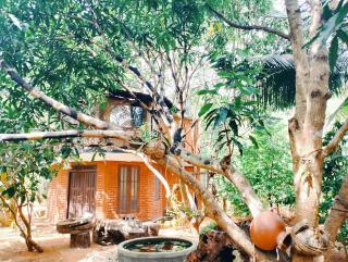 Nera Nature House - Sigirîya - 2