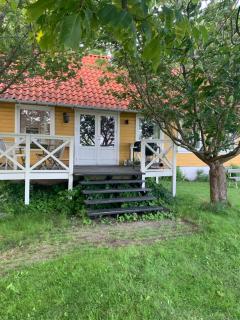 Casita amarilla - 0