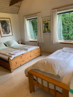 Casita amarilla - 3