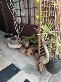 The Wooden Retreat - 4