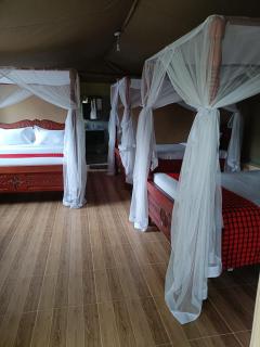 Mara Ntulele Camp - Ololaimutiek - 4