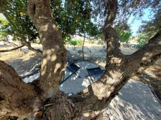 Kypseli House Garden, Trails & Walk to Apollonia - Apollonia - 2