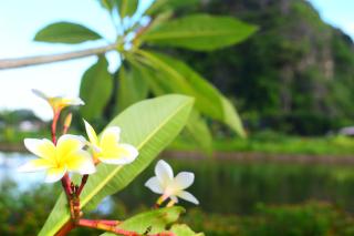 Trang An Ecorest Resort & Spa - 5