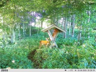 Naturskønt nær Ribe Vikingecenter, se og oplev den gamle by Ribe - 4
