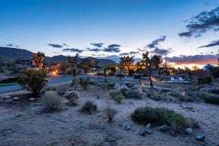 Owl & Hare Pool Spa PB bocce Sauna Cold Plunge bbq - Joshua Tree - 4