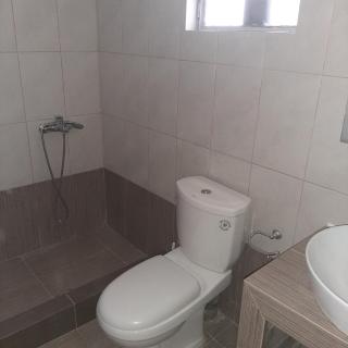 Plane Tree Cottage for Nature Lovers- Free RV & Campervan Parking - 9