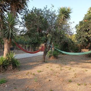 Plane Tree Cottage for Nature Lovers- Free RV & Campervan Parking - Amaliada - 8