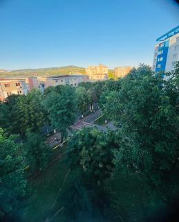 DACAFI Luxury Apartment - Hunedoara - 7