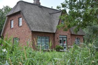 Möwen-Nest - Tönning - 6