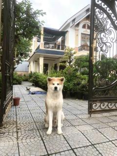 Thiên Hà Homestay Huế - Ấp Long Hồ Hạ - 4