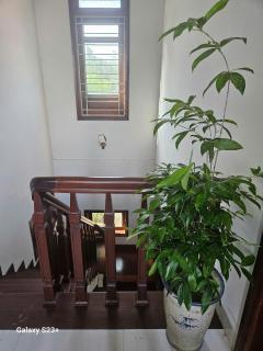 Thiên Hà Homestay Huế - Ấp Long Hồ Hạ - 3