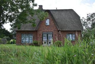 Möwen-Nest - Tönning - 3