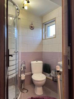 Pensiunea Crinul Bucovinei - 2