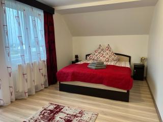 Pensiunea Crinul Bucovinei - 1