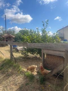 Cottage atypique avec piscine & accès au lac 6 personnes - 2