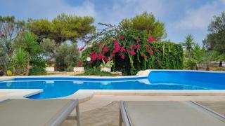 Al Marchello by LoveSud - 0