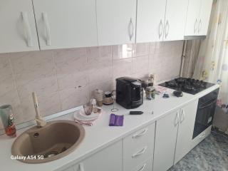 Boutique Apartment Grigorescu - 4
