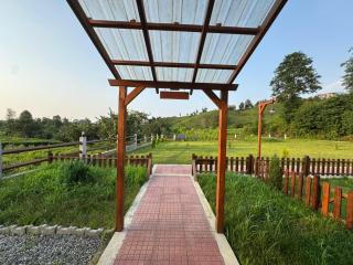 Lettaşi Bungalov - Rize - 3