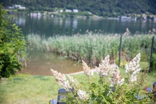 Seecamping Plörz - Harald Lauritsch GmbH - 6